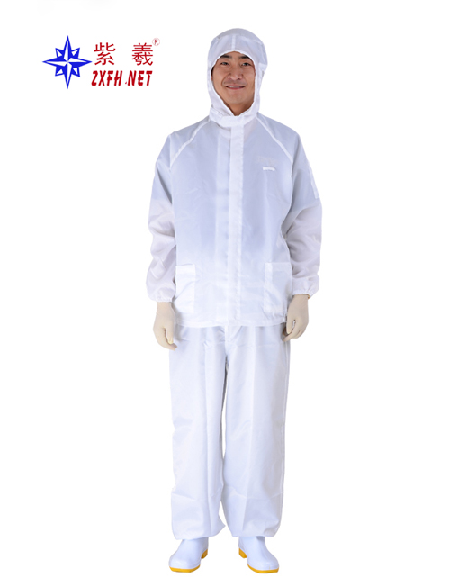 Dust-free suit with cap