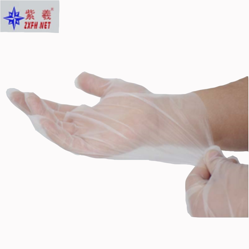 Factory Wholesale Transparent Disposable CPE Gloves